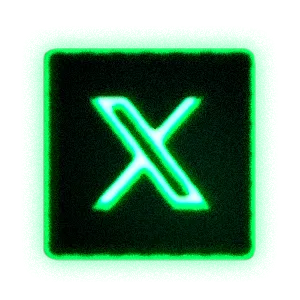 X (Twitter)